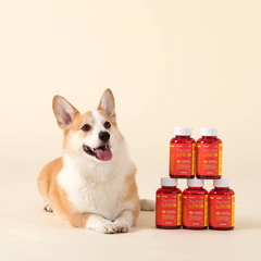 WiloPet The Healthy Nosework Shrimp Treats 200g.