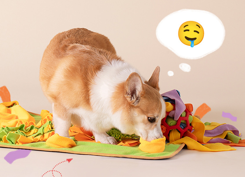 WiloPet The Healthy Nosework Shrimp Treats 200g.