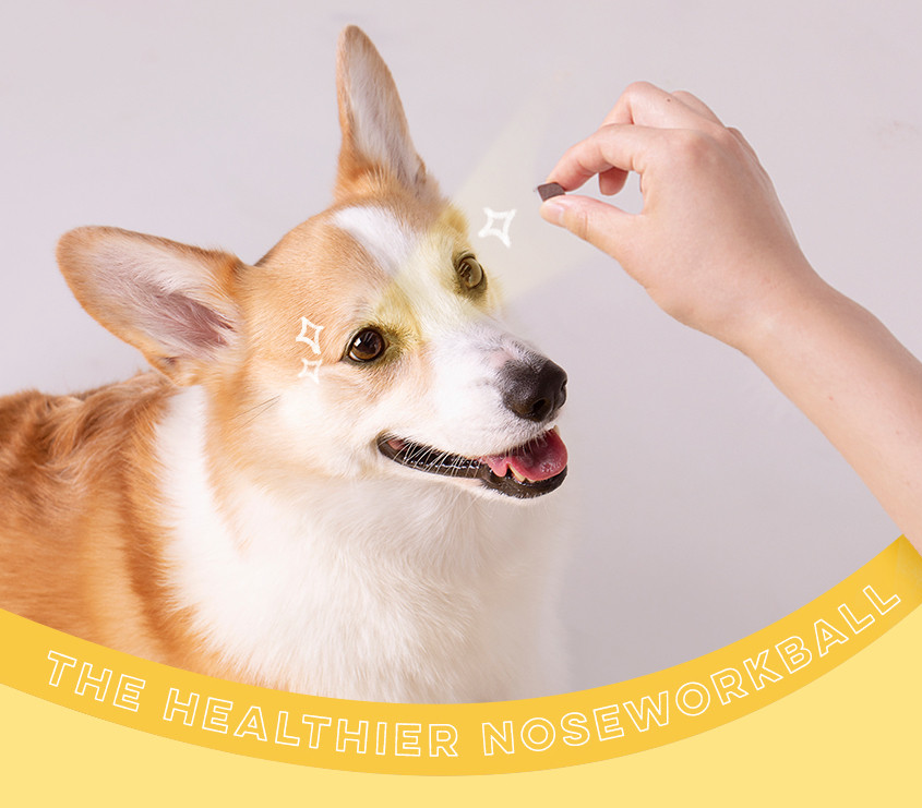 WiloPet The Healthy Nosework Shrimp Treats 200g.