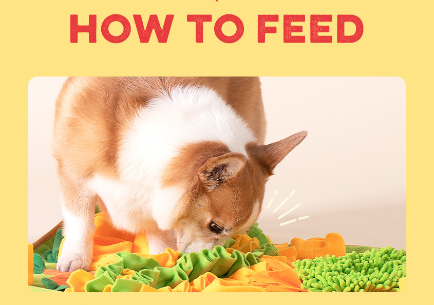 WiloPet The Healthy Nosework Shrimp Treats 200g.