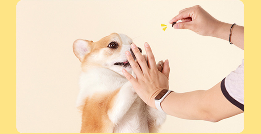 WiloPet The Healthy Nosework Shrimp Treats 200g.