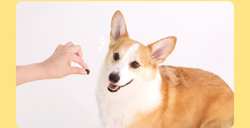 WiloPet The Healthy Nosework Shrimp Treats 200g.