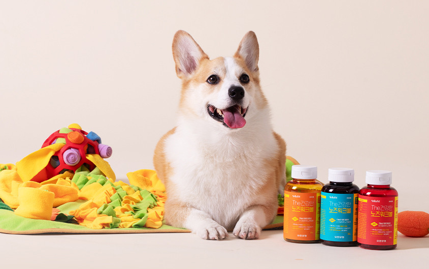 WiloPet The Healthy Nosework Shrimp Treats 200g.
