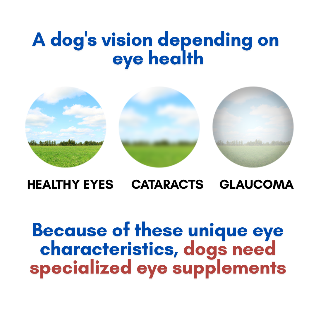 [Penovis] Eye Care InCapsule for Dogs – Lutein 900mg