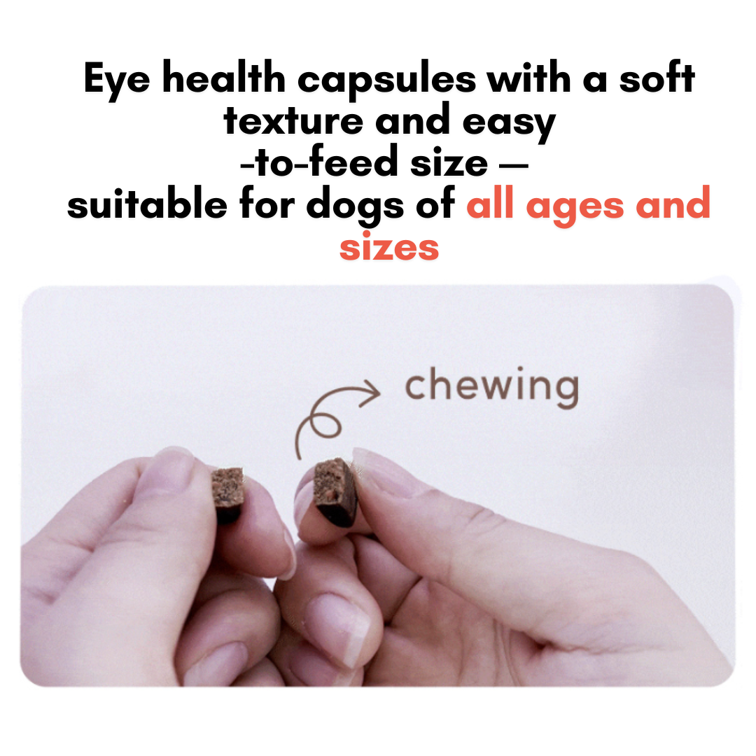 [Penovis] Eye Care InCapsule for Dogs – Lutein 900mg