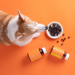 WiloPet The Healthy Nosework Salmon Treats 200g.