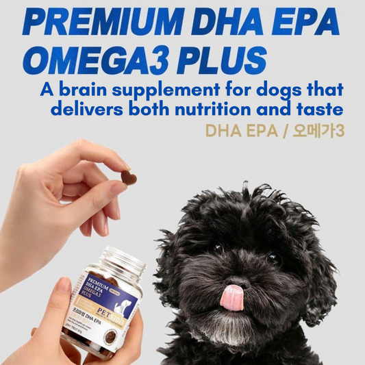 [PETSIDIN] Premium DHA EPA OMEGA-3 Plus 60g | Brain Health Supplement for Dogs